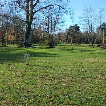 De Charme Dans La Foret Landaise *