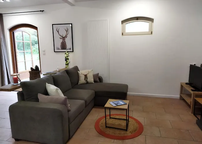 Feriehus De Charme Dans La Foret Landaise *