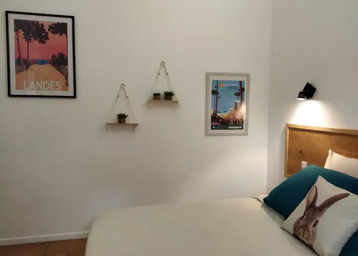 De Charme Dans La Foret Landaise 度假居